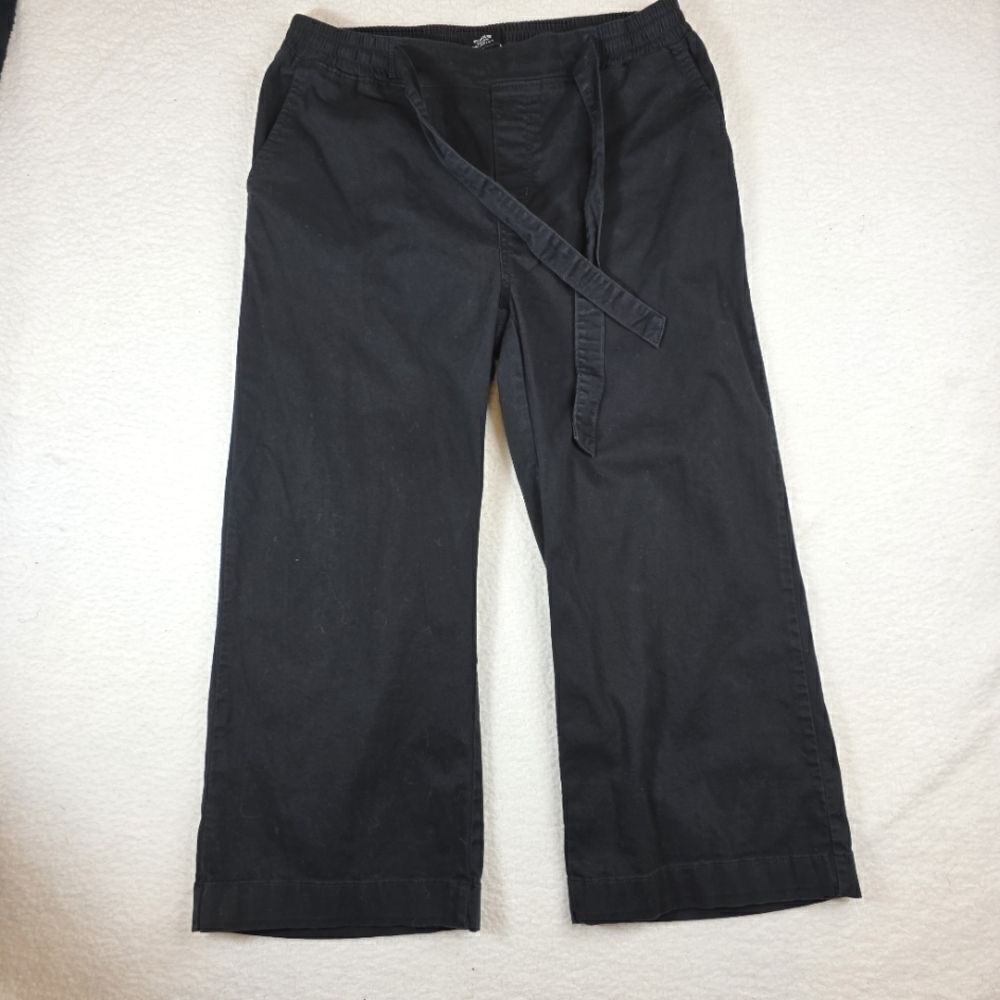 Levi's Signature Wide Leg Cropped Pullon Pants Size 14/32
